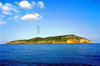 守护温州年味 太保产险助力农产品展销